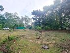 45P Commercial Bare Land For Sale In Homagama