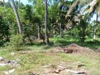 45P Land for Sale in St. Mary's Road, Uswetakeiyawa (SL 14288)