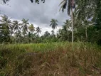45P Land for Sale Wariyapola, Kalugamuwa Road, Gonnawa