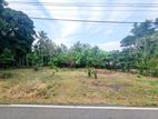 45P Prime Bare Land For Sale In Homagama