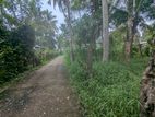 45P Residential Land for Sale – Yanthampalawa, Kurunegala