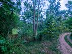 46 P Land for Sale Wariyapola, Rambawewa, Near Galwewa Junction