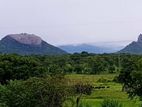 46 P Land in Sigiriya, Close to Aliya Hotel Habarana