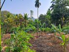 46 Perches Prime Land for Sale in Kegalle