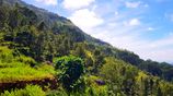 460P Scenic Land in Beragala