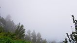 460P Land for Sale in Beragala