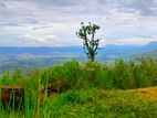 460P Scenic Land in Beragala