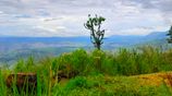 460P Scenic Land in Beragala