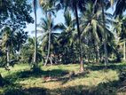 4.75 Acres Coconut Land for Sale in Anamaduwa