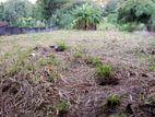 47P Land for Sale in Sirinanda Jothikarama Mawatha, Hokandara (SL 14464)