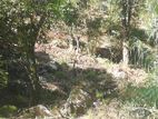 48 Perches Land Sale in Ginihathena