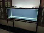 48,18,18 Fish Tank