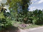4.86P Land for Sale in Panadugama, Akuressa (SL 14022)