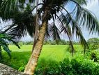 48P with 2 Houses & 50P Paddy Land Close to Tech City, Homagama