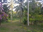 490 P Land for Sale - Puhulwella