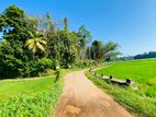 490 P Superb Land at Kirinda, Close to Matara – Hakmana Main Road