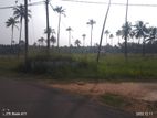 49.5P Land for sale in Ranjanagama road, Kurunegala (SL 13206)