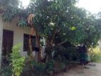 4Bed House for Sale in Kadawatha (SP91)