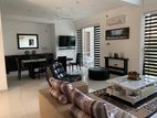 4BR 3 Storied House For Rent in Colombo 5 - PDH213