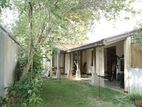 4BR Elegant House in 10 P Land for Sale Kotikawatta (SH 14167)