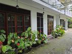 House for Rent in Nugegoda