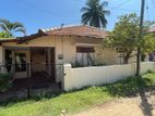 4 Br House for Sale with Land in Mannar