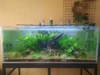 4feet Aquarium Tank Complete Set