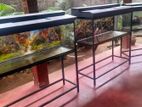 4ft With 3ft Brand New Fish Tank