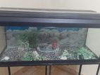 4FT Aquarium / Fish Tank with Stand