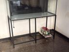 4ft Aquarium Setup