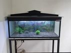 4ft Fish Tank with All Accessories