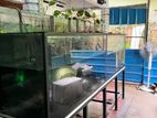 4ft Fish Tank