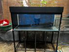 4ft Fish Tank