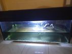 4ft Fish Tank