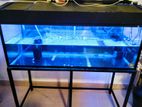 4ft Fish Tank