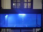 4ft Fish Tank