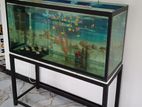 4FT Fish Tank