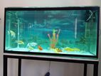 4 Ft Fish Tank with