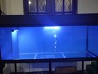 4 Ft Fish Tank Full Set and More Accessories