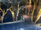 4ft Fish Tank with Full Set