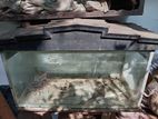 4ft Fish Tank