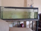 4ft Tank