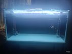 4ft Tank with Full Set