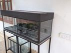 4 Inch Fish Tank
