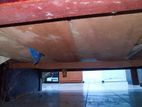 5/6 Bed