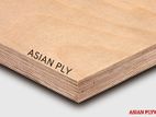 5/8" India Grade Plywood Board - Heavy Duty 8' x 4' 15mm