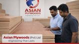 5/8" Malaysian Plywood Board (Imported Veneer) 8' x 4' 15mm