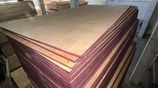 5/8 Sanded Plywood Board (8' x 4' 15mm) Good Quality