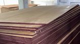 5/8 Sanded Plywood Board (8' x 4' 15mm) Good Quality