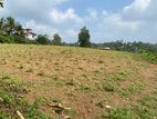 5 Acers Bare Land for Sale in Kalapugamwatta, Morontuduwa (SL 14068)